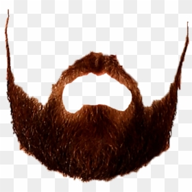 Saving Hair Png, Transparent Png - a+ png