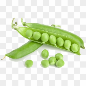 Green Beans Png - Green Bean Png, Transparent Png - beans png