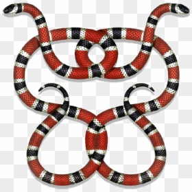 Gucci Guccigang Snakes Guccilogo Logo Stickerpng - Transparent Gucci Snake, Png Download - gucci snake png
