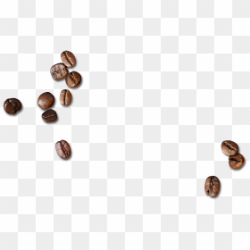 Scattered Coffee Beans Png Download - Transparent Coffee Bean Png, Png Download - beans png