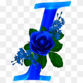Blue Roses Png, Transparent Png - rosas png