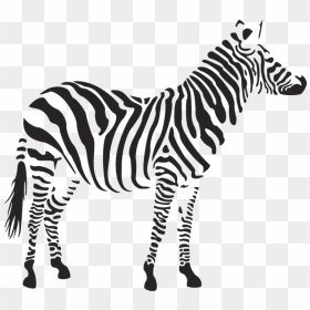 Zebra Clipart Png, Transparent Png - zebra png