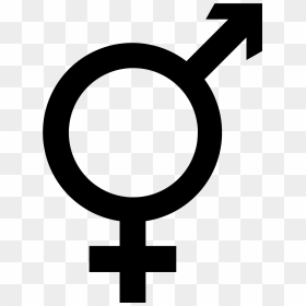 Thumb Image - Male Female Combined Symbol, HD Png Download - female symbol png