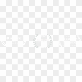White - General Assembly First Committee, HD Png Download - steph curry png