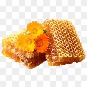Honey Png - Flower Png For Honey, Transparent Png - scarce png