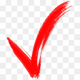 Brush Check Mark Png, Transparent Png - red check mark png