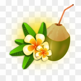 Hawaii Clipart Coconut Cocktail - Palm Flower & Coconut Clipart, HD Png Download - coco png