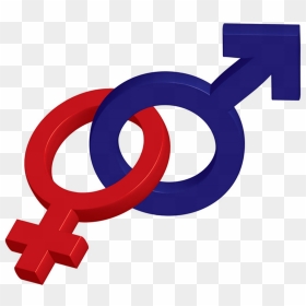 Male And Female Symbol Transparent Clipart , Png Download - Male Female Symbols, Png Download - female symbol png