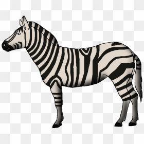 Wildlife Animal Pedia Wiki - Zebra, HD Png Download - zebra png