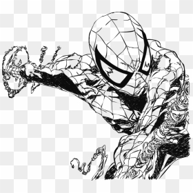 Hd By Electric Meat - Spiderman Drawing, HD Png Download - spiderman web png