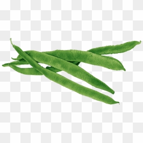 Green Beans Png High Quality Image - Green Beans Clipart, Transparent Png - beans png