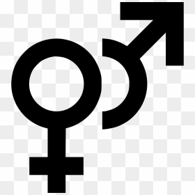 Gender Female Male Comments - Transparent Gender Icon Png, Png Download - female symbol png