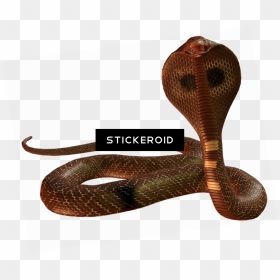 Indian Cobra , Png Download - Indian Cobra, Transparent Png - gucci snake png