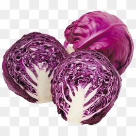 Cabbage Png Free File Download - Red Cabbage, Transparent Png - cabbage png