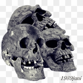 Pile Of Skulls Png Transparent Image - Skull Hd Transparent Background, Png Download - skulls png