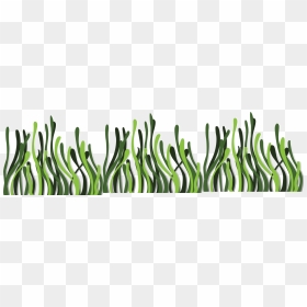 Seaweed Euclidean Vector Deep Sea - Transparent Seaweed Cartoon Png, Png Download - seaweed png