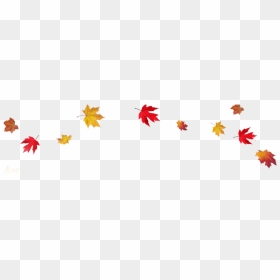 Thanksgiving Leaves Border Png - Falling Fall Leaves Transparent Background, Png Download - thanksgiving border png