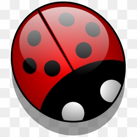 Download Cartoon Ladybug Png - Black And White Ladybird, Transparent Png - ladybug png