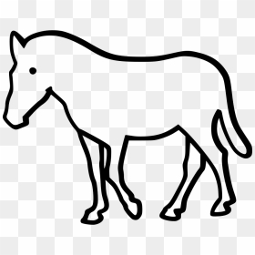 Zebra - Icon, HD Png Download - zebra png