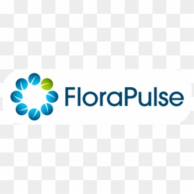 White Rounded Rectangle, HD Png Download - rounded rectangle png