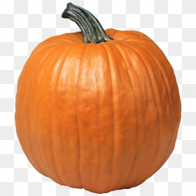 Pumpkin - Pumpkin Png, Transparent Png - pumpkins png