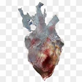 Objecta Frozen Heart - Heart Frozen, HD Png Download - real heart png