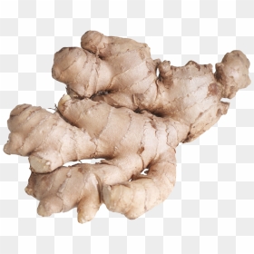 Free Png Ginger Root Png Images Transparent - Ginger Root Png, Png Download - ginger png