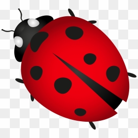 Beetle Ladybird Plagg Clip Art - Whitechapel Station, HD Png Download - ladybug png