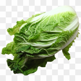 Napa Cabbage Png Image - Napa Cabbage Png, Transparent Png - cabbage png