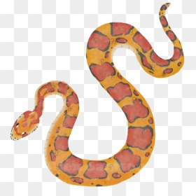 Corn Snake Png - Corn Snake Clipart, Transparent Png - gucci snake png