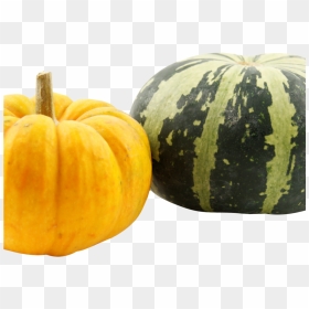 Pumpkins Png Image - Squash, Transparent Png - pumpkins png