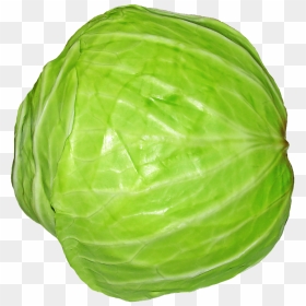 Cabbage - Cabbage Png, Transparent Png - cabbage png