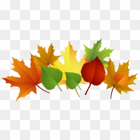 Fall Leaves Clip Art Free - Leaves Clipart Falling Autumn, HD Png Download - fall leaves border png