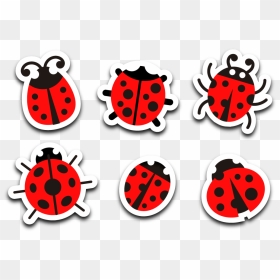 Ladybug - Ladybug Png, Transparent Png - ladybug png