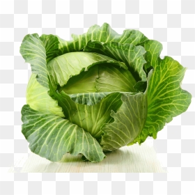 Cabbage Png Image - Kapusta Gif, Transparent Png - cabbage png
