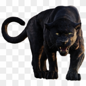 Panther Png Clipart - Jungle Book Bagheera Roar, Transparent Png - panther png