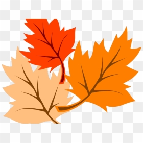 Transparent Autumn Border Png - Fall Clip Art, Png Download - fall leaves border png