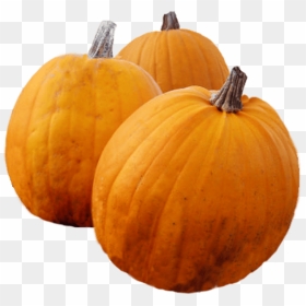 Thanksgiving Pumpkin Png , Png Download - Pumpkin, Transparent Png - pumpkins png