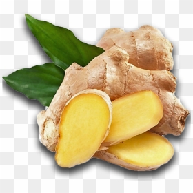 Ginger , Png Download - Zingiber Officinale, Transparent Png - ginger png