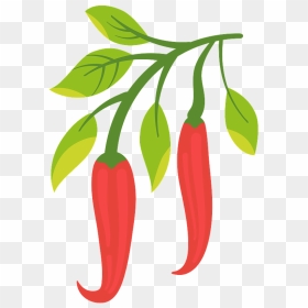 Chili Pepper Clipart - Chile Pepper Clipart, HD Png Download - chili pepper png