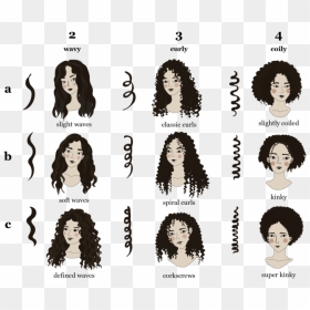Curl Pattern Types, HD Png Download - hair texture png