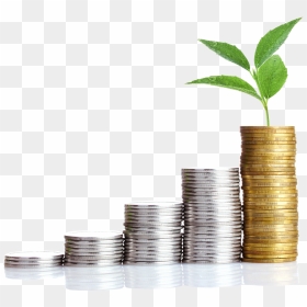 Money Growth Png - Transparent Money Growth Png, Png Download - money pile png