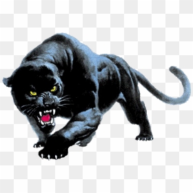 Panther Desktop Wallpaper Clip Art - Devon Meadows Football Club, HD Png Download - panther png