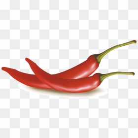 Transparent Pepper Plant Png - Transparent Chili Vector Png, Png Download - chili pepper png