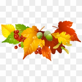 Thanksgiving Leaves Border Png - Autumn Leaves Free Clipart, Transparent Png - fall leaves border png