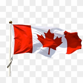Flag Of Canada Png Image - Real Canada Flag Png, Transparent Png - canadian flag png