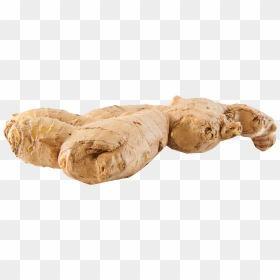 Ginger Png, Transparent Png - ginger png