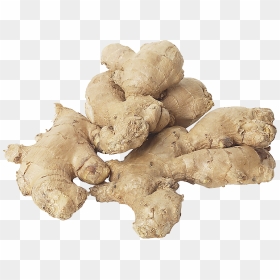Download This High Resolution Ginger High Quality Png - Dry Rot Of Ginger, Transparent Png - ginger png