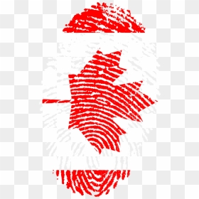 Canadian Identity Finger Print, HD Png Download - canadian flag png
