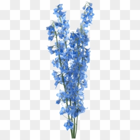 Sky Blue Flower Png, Transparent Png - blue flower png